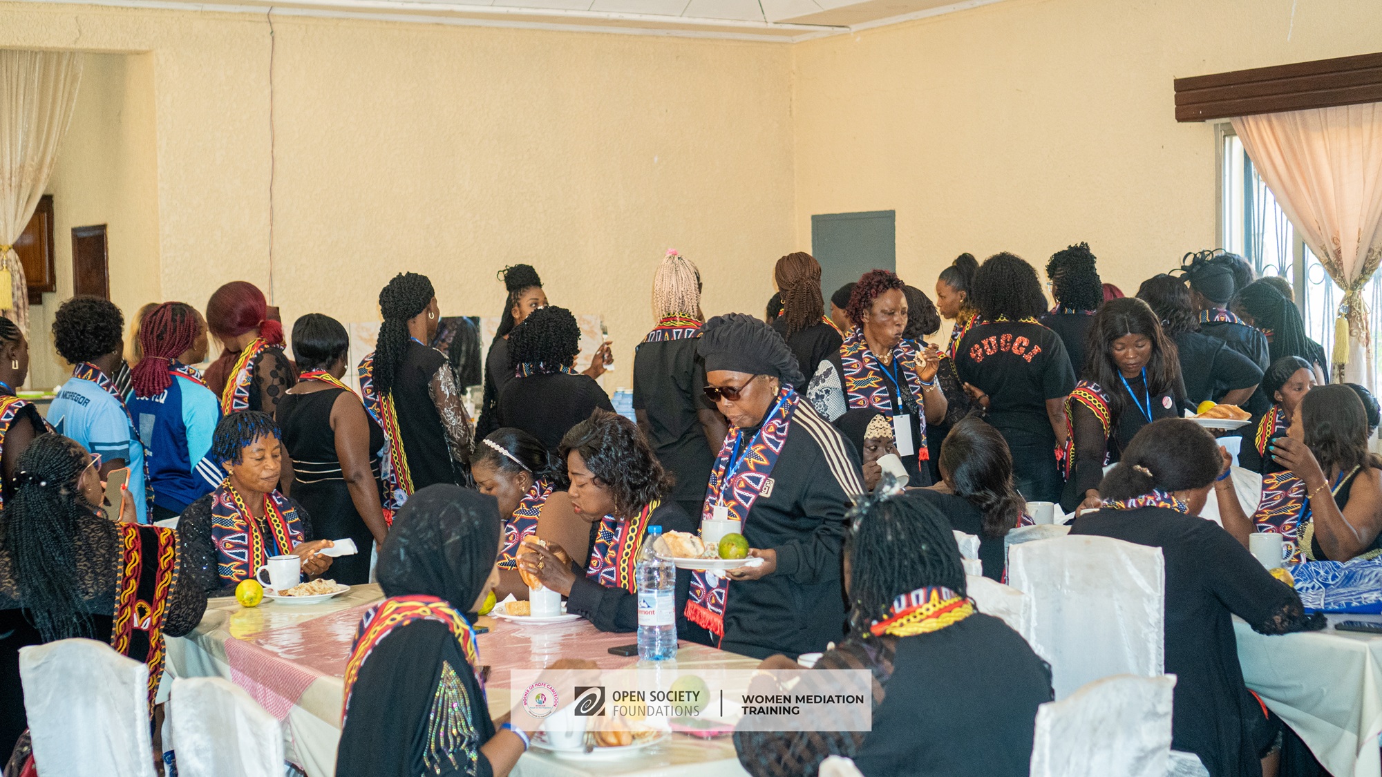 Effective Participation in Mediation and Peacebuilding Processes Day2